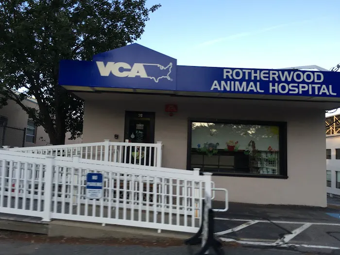 VCA Rotherwood Animal Hospital Picture 5