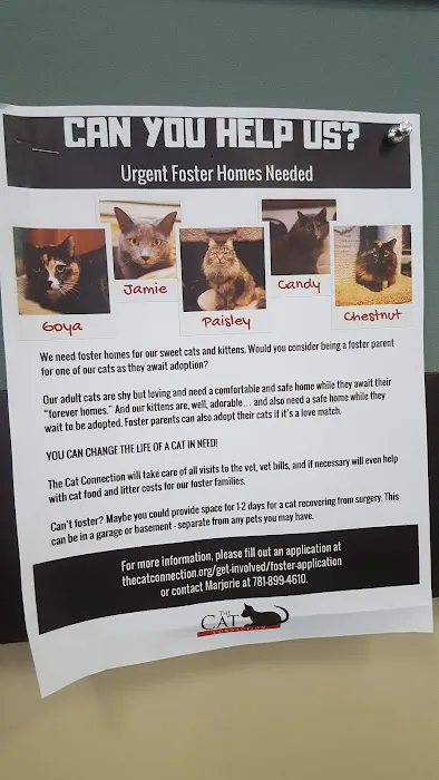 VCA Rotherwood Animal Hospital Picture 7