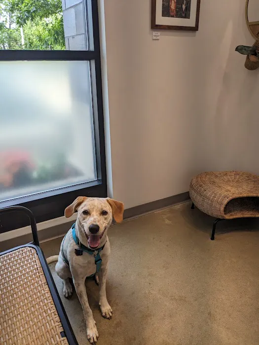 METROVET Veterinary Clinic Picture 9