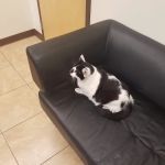 Quarry Hills Animal Hospital