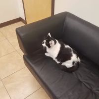 Quarry Hills Animal Hospital ico