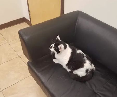Quarry Hills Animal Hospital