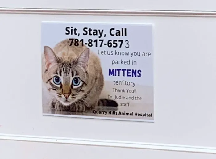 Quarry Hills Animal Hospital Picture 4