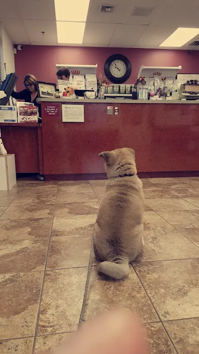Quarry Hills Animal Hospital Picture 6