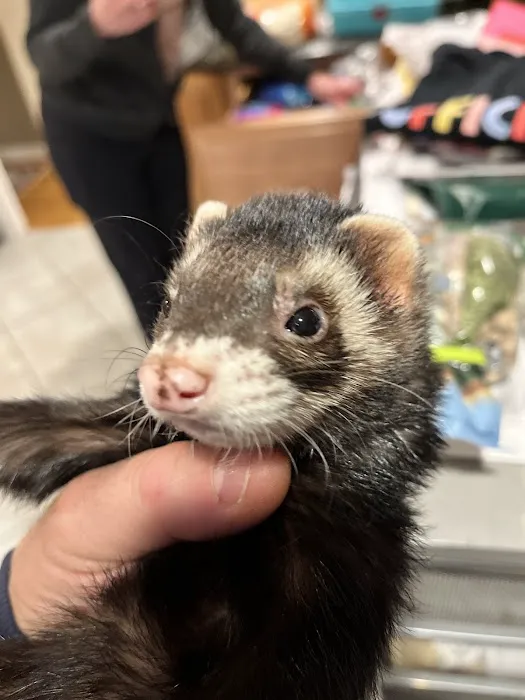 Randolph Animal Hospital Picture 3