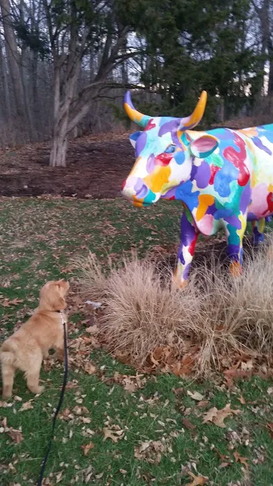 Weston Veterinary Clinic, A Thrive Pet Healthcare Partner Picture 8