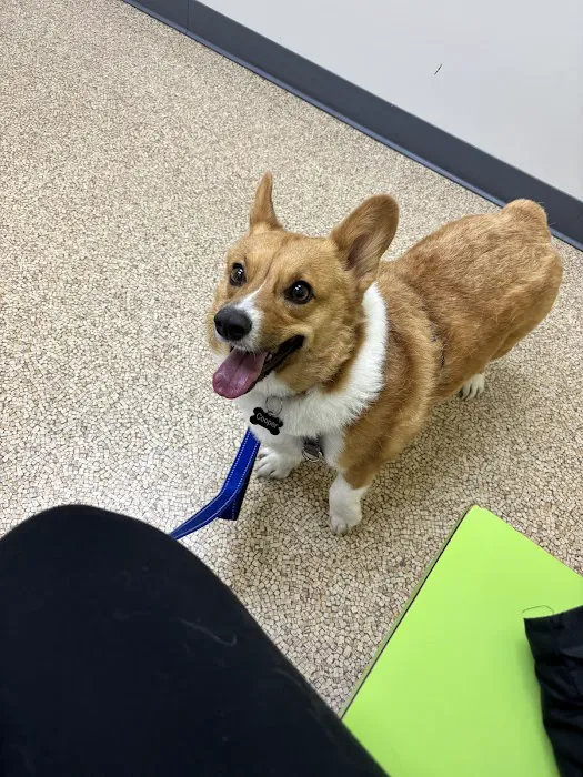 Marion Animal Hospital Picture 2
