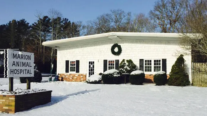 Marion Animal Hospital Picture 3
