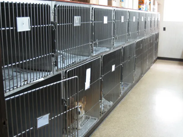 Marion Animal Hospital Picture 8