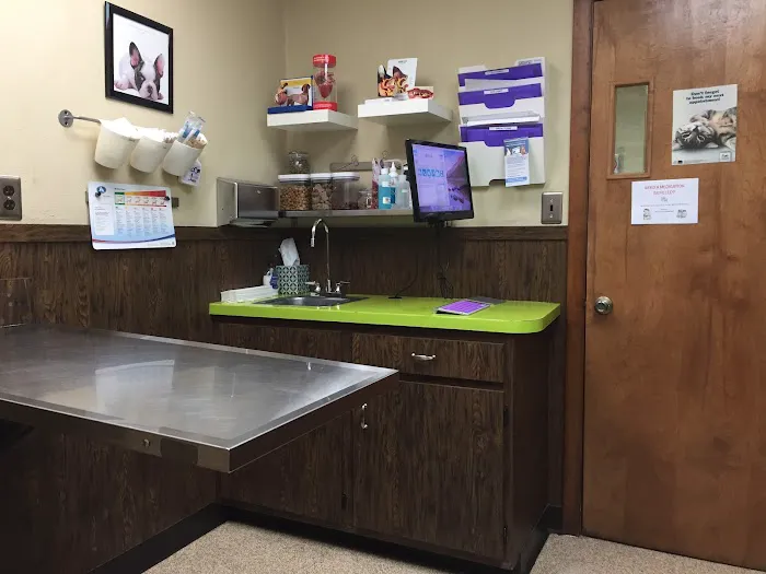 Marion Animal Hospital Picture 6