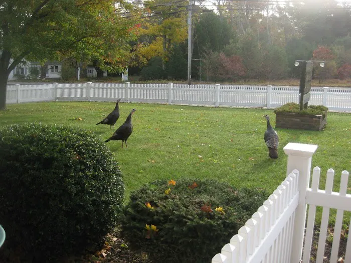 Marion Animal Hospital Picture 5