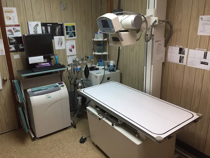 Marion Animal Hospital Picture 9
