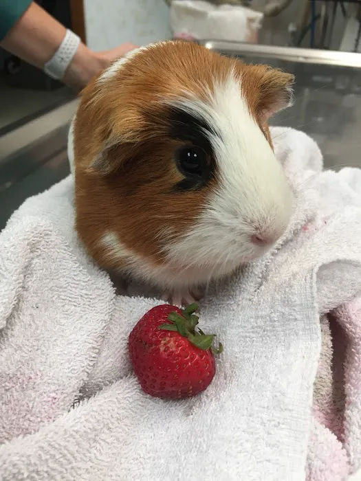 Marion Animal Hospital Picture 10