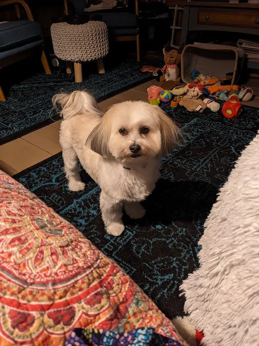 Assonet Animal Hospital Picture 4