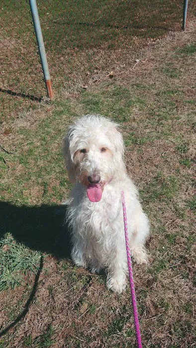 Raynham Veterinary Hospital, Inc. Picture 4
