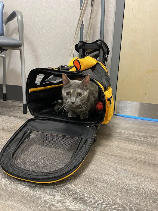 New England Animal Medical Center Primary Care Picture 1