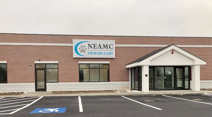 New England Animal Medical Center Primary Care Picture 9