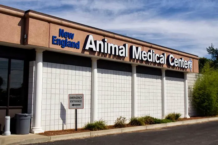 Westbridge Veterinary Referral Hospital Picture 5