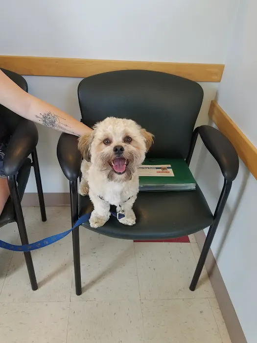 Lakeville Animal Hospital Picture 7