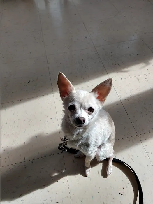 Lakeville Animal Hospital Picture 8
