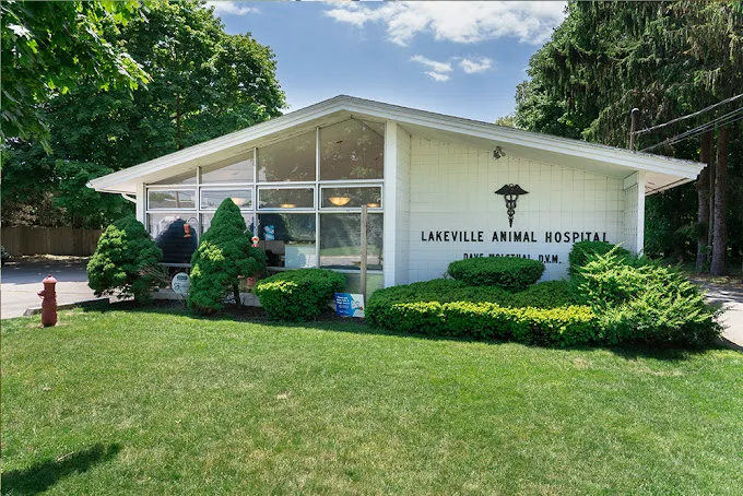Lakeville Animal Hospital Picture 10