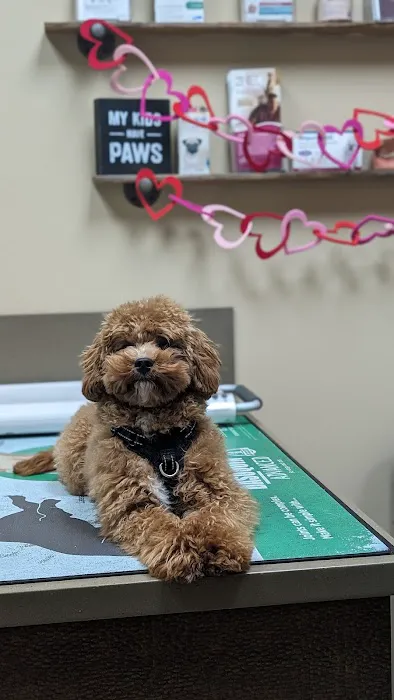 Bridgewater Veterinary Clinic Picture 10
