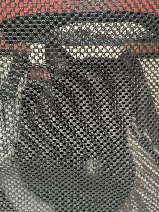 The Cat Doctor Picture 1