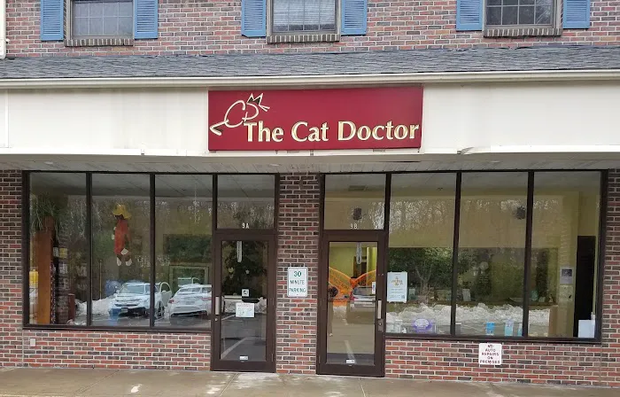 The Cat Doctor Picture 5
