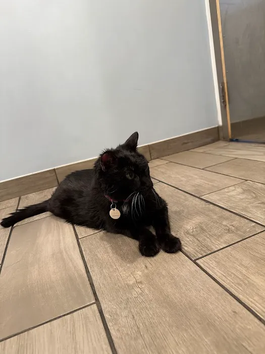 Lexington-Bedford Veterinary Hospital Picture 2