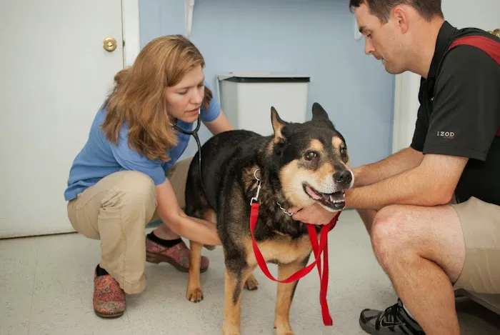 Lexington-Bedford Veterinary Hospital Picture 3