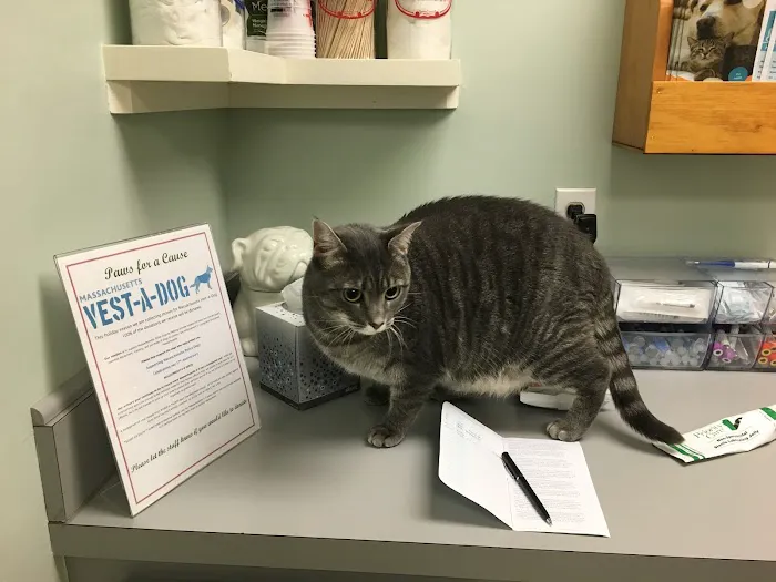 Billerica Veterinary Hospital Picture 5