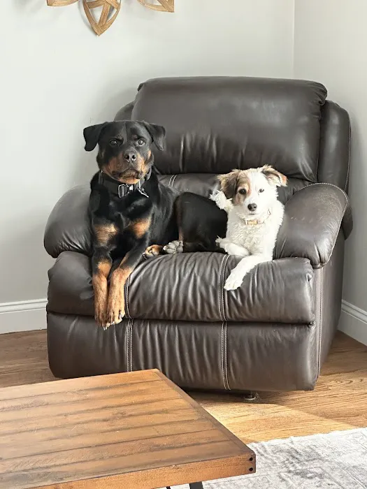 Billerica Veterinary Hospital Picture 7