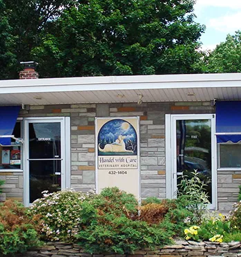 Orchard Village Animal Clinic - A Thrive Pet Healthcare Partner Picture 1