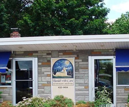 Orchard Village Animal Clinic - A Thrive Pet Healthcare Partner