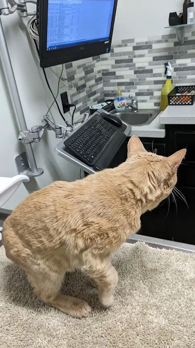 Derry Animal Hospital Picture 2