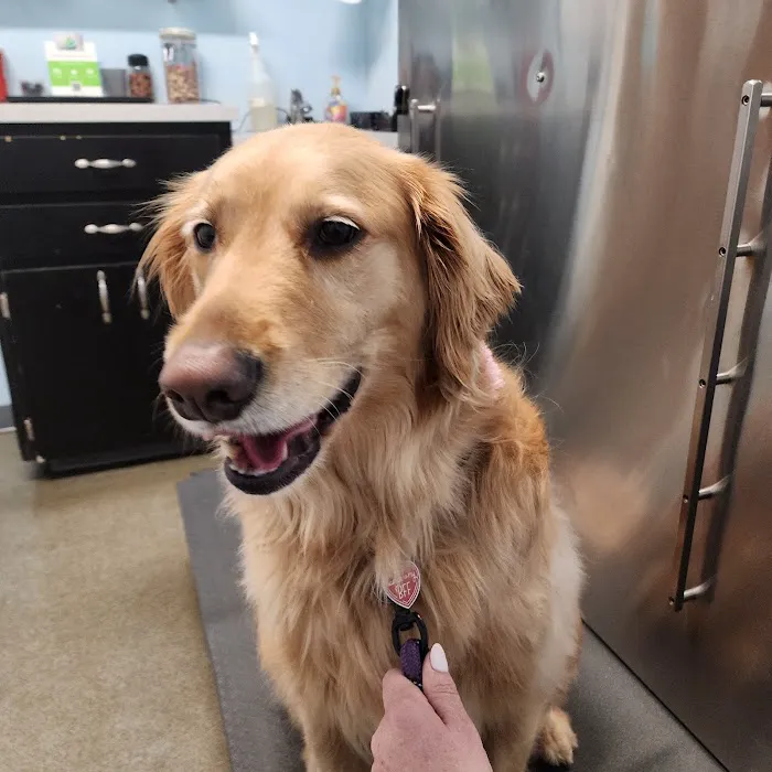 Derry Animal Hospital Picture 9
