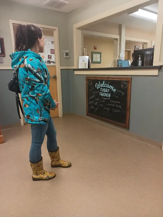 Windham Animal Hospital Picture 5