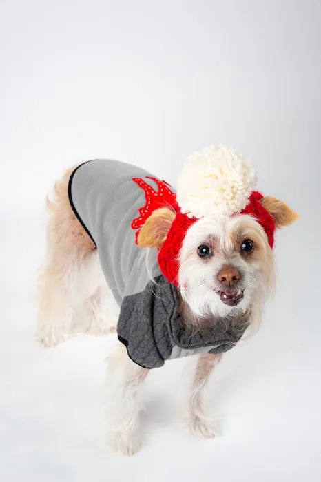 Canobie Lake Veterinary Hospital Picture 10