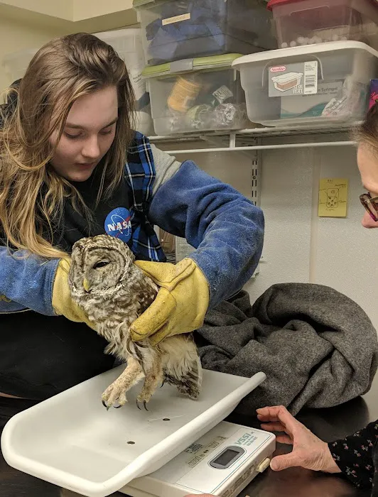 Granite State Animal Hospital Picture 5