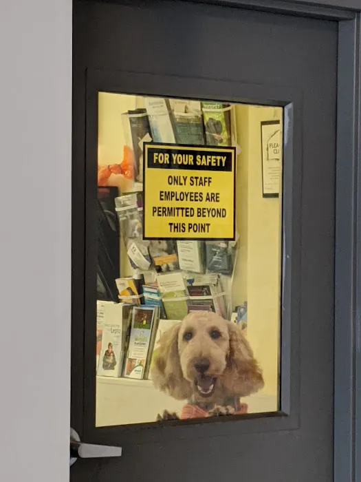 Granite State Animal Hospital Picture 3