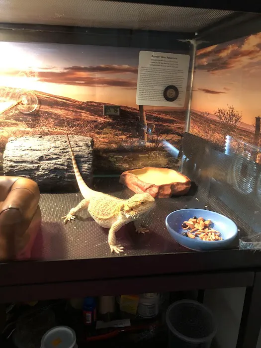 Granite State Animal Hospital Picture 7