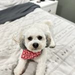 Banfield Pet Hospital