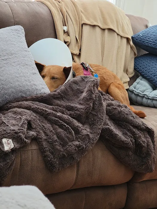 Merrimack Animal Hospital Picture 1