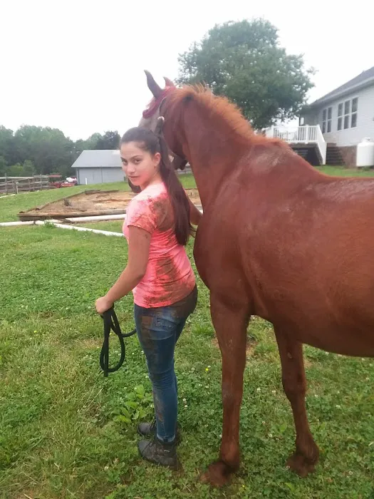 Veterinary Services Picture 2