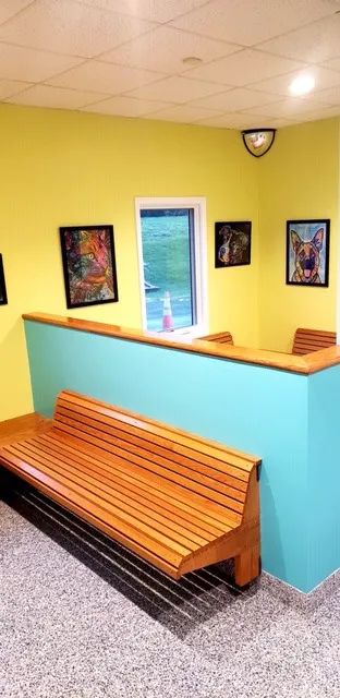 Hanging Rock Animal Hospital Picture 1