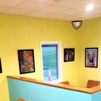 Hanging Rock Animal Hospital ico