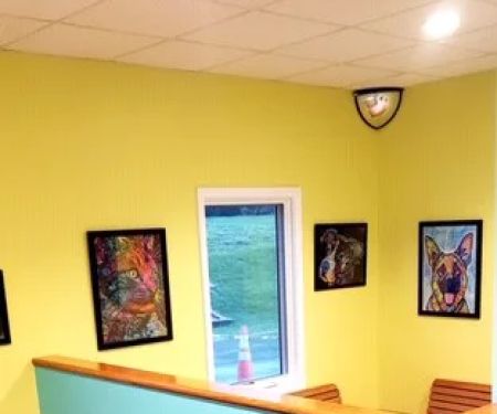 Hanging Rock Animal Hospital