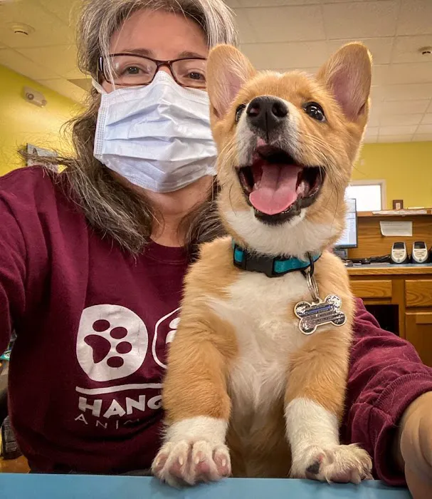 Hanging Rock Animal Hospital Picture 4