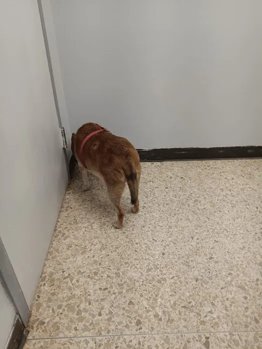 Animal Care Center Of Salem Picture 2