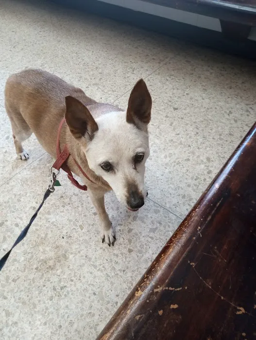 Animal Care Center Of Salem Picture 3